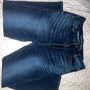 American Eagle Outfitters Dark Blue Skinny Jeans